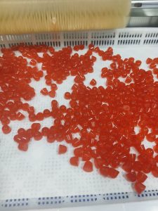 Fruit Gummy Bites